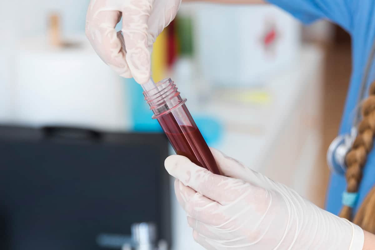 Pet Pathology Services