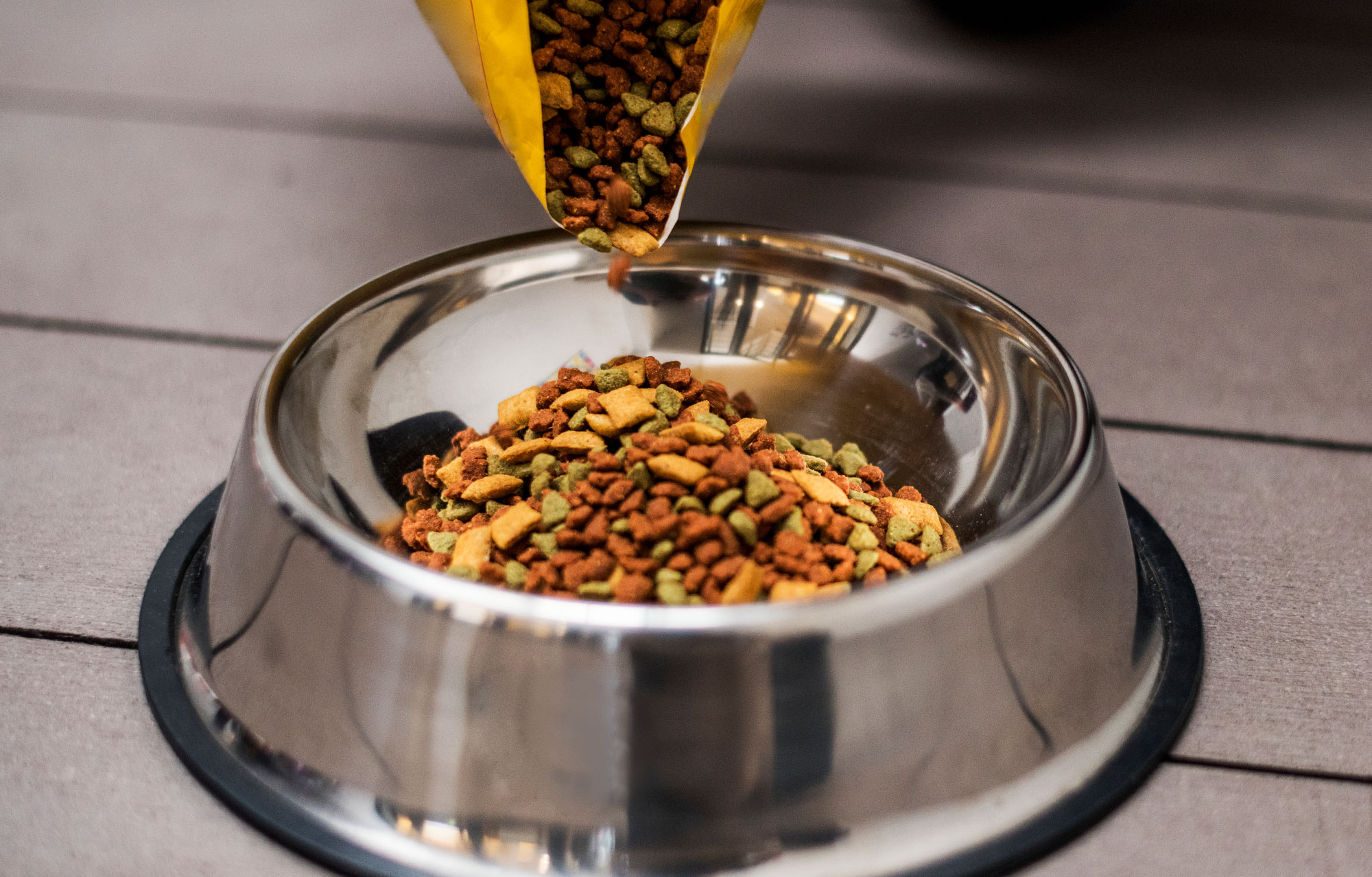 Best Pet Food Advice