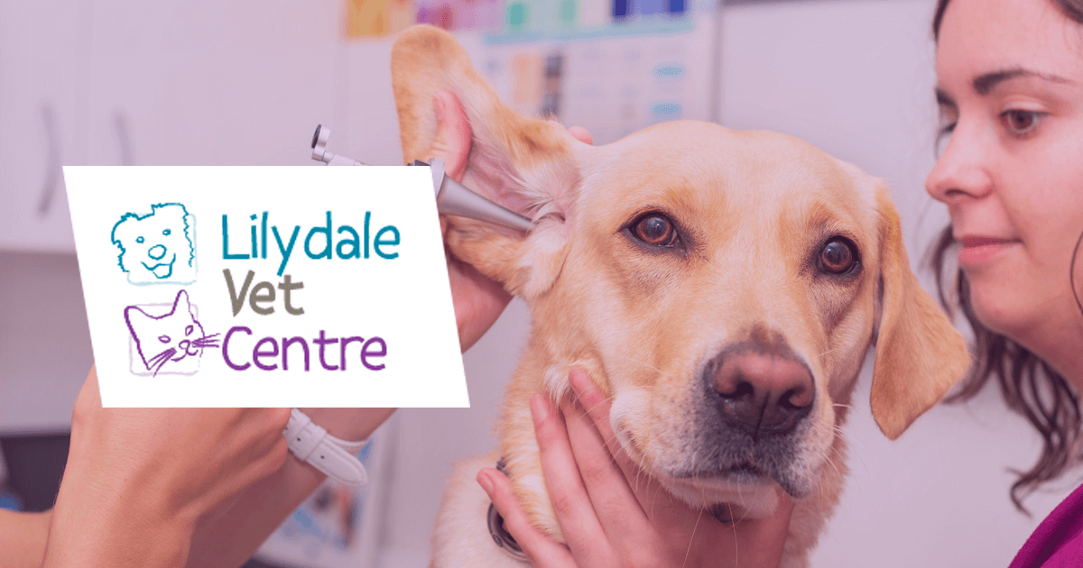 What happens when your dog eats rat bait Lilydale Vet Centre